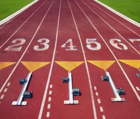 开云直播平台-莎拉波娃五连败阴影下，日本队教练的压力与挑战，莎拉波娃五连败阴影下，日本队教练的压力与挑战